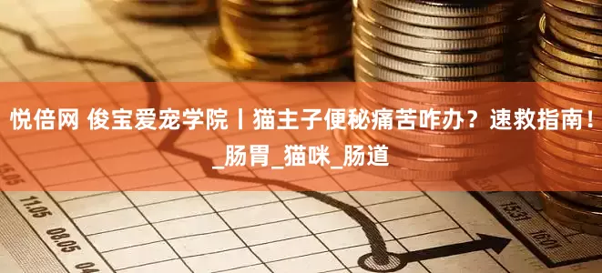 悦倍网 俊宝爱宠学院丨猫主子便秘痛苦咋办？速救指南！_肠胃_猫咪_肠道