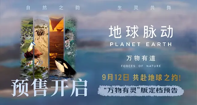 股速查 电影《地球脉动：万物有道》定档 9月12日大银幕解锁地球极致之美