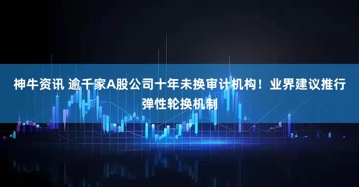 神牛资讯 逾千家A股公司十年未换审计机构！业界建议推行弹性轮换机制